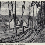 Altenau, Oberharz, Hüttenstraße mit Schafherde ngl G2410