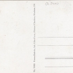 Altenau, Oberharz, Hüttenstraße mit Schafherde ngl G2410