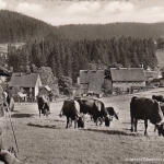 Altenau, Oberharz, "Damenkapelle" ngl G2413