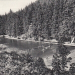 Altenau, Oberharz, Schwimmbad gl1967 G2417
