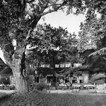 Herrsching am Ammersee Cafe Seewinkel ngl 199.419