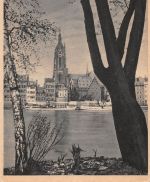 Frankfurt (Main) Maininsel mit Domturm ngl 199.666
