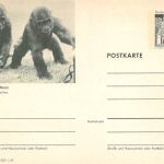 Frankfurt (Main) Zoolog. Garten, GA P 99 ngl 300.096