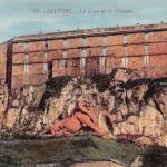 Frankreich 90 Belfort Le Lion et le Chateau gl1929 199.110