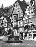 Miltenberg a.M. Schnatterloch ngl 300.180