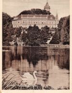 Wiesenburg (Mark) Schloß gl1930 300.225