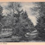 Mönchengladbach Windberg St. Franziskusheilstätte Das Kreuz ngl 300.339