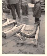 Beruf Fischer FOTO ngl 300.553