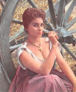 Schauspieler Sophia Loren ngl 300.641