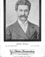 Musik Johann Strauss Portrait ngl 300.646