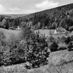 Laudenbach am Main Forsthäuser im Brunntal gl 300.760