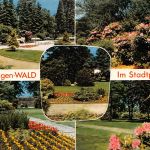 Solingen-Wald Stadtpark Mehrbildkarte gl1974 300.951