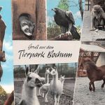 Bochum Tierpark gl 301.095