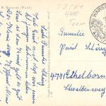 Warstein Frauen-Landhaus gl1963 301.099