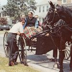 USA The Amish Country ngl 301.316