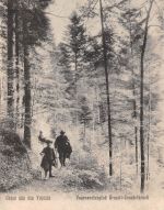Elsass Vogesenclubpfad Urmatt-Grendelbruch bahnpgl 301.738