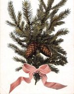 Glückwunsch Fröhliche Weihnachten ngl 301.779
