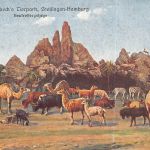 Motiv Tiere Zoo Hagenbecks Tierpark Hamburg Künstlerkarte ngl 301.792