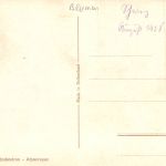 Motiv Blumen Rhodendron - Alpenrosen Künstlerkarte ngl 301.806