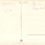 Motiv Künstler A. Haller Blumen ngl 301.817
