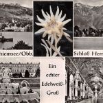 Herrenchiemsee Mehrbildkarte gl1961 302.003