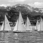 Chiemsee Segelregatta gl1961 302.038