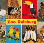 Tiere/Zoo Zoo Duisburg ngl 302.325