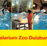 Tiere/Zoo Zoo Duisburg Walarium ngl 302.326