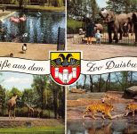 Tiere/Zoo Zoo Duisburg ngl 302.327