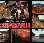 Landschaften-AK Schwarzwald ngl 302.375