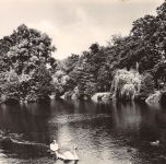 Dahme Schloßpark gl 302.775