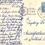 Dresden Zoo Giraffen gl1962 303.255