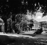 Bad Pyrmont Erdbeer-Tempel und Kurhaus ngl 304.469