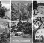 Buckow (Märk. Schweiz) Mehrbildkarte gl1984 304.660