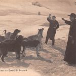 Schweiz Le Chiens au Grand Bernard ngl 305.155