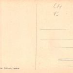 Schweiz Le Chiens au Grand Bernard ngl 305.155