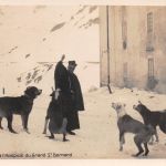 Schweiz Les Chiens a l'Hospice du Grand St. Bernard ngl 305.158