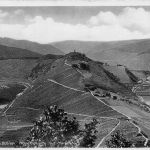 Alf-Bullay a.d.Mosel, Moselschleife mit Marienburg gl1939 305.334