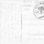Alf-Bullay a.d.Mosel, Moselschleife mit Marienburg gl1939 305.334