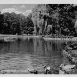 Hagen i. W. Schwanenteich im Stadtpark ngl 305.350