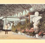 Zwickau Ausstellung 1906 Blick in die Haupthalle Reproduktion!!! ngl 305.529