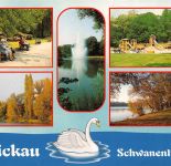 Zwickau Schwanenteich Mehrbildkarte gl1997 305.537