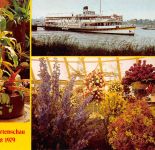 Bonn a.Rh. Bundesgartenschau 1979 Mehrbildkarte ngl 305.796