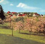 Rengsdorf Blick von der Terrasse ngl 305.859