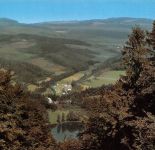 Daun (Eifel) Blick zum Gemündener Maar gl1982 305.921