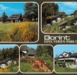 Daun (Eifel) Dorint Eifel Ferien Park gl1993 305.922
