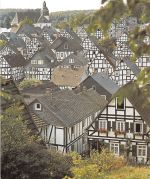 Freudenberg Teilansicht Rückseitig mit Reklame ngl 305.953