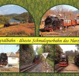 Eisenbahn Selketalbahn älteste Schmalspurbahn Mehrbildkarte gl1995 305.971