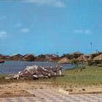 Brasilien, Barra Velha, Carcaca de Baleia na Lagoa ngl G3753