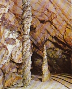 Postonjska Jama, Cipresa ngl G3799